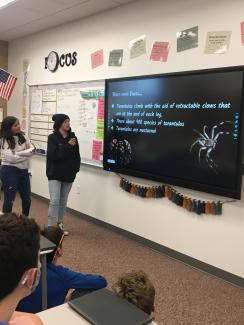 Students teach others about tarantulas